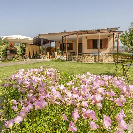 بيت للعطل Platanus Retreat Elaiokhorion